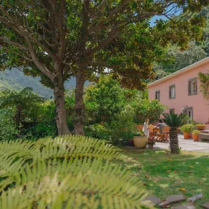 Guest house Madeira Surf